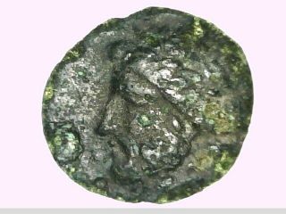 Greece Thessaly Melitaia Bronze Chalkous Coin Laureate Zeus / Bee Rare Coin