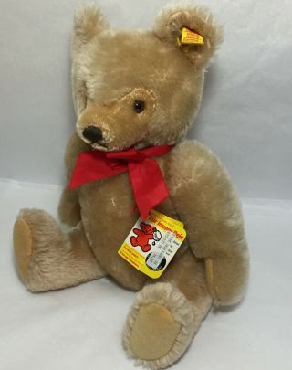 Vintage Steiff Teddy Bear 13” Growler With Tags Fully Jointed 0201/36