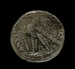 Antiochus VII Euergetes (Sidetes) silver Tetradrachm 2