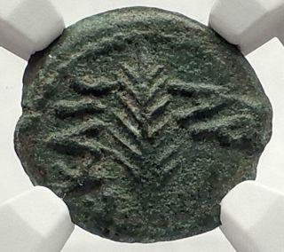 Biblical Jerusalem Saint Paul Nero Porcius Festus Ancient Roman Coin Ngc I70853