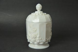 Vtg Rare Westmoreland Paneled Grape Milk Glass Covered Candy Dish With Round Lid
