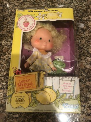 1980 Kenner Vintage Strawberry Shortcake Lemon Meringue Doll Frappe Pet