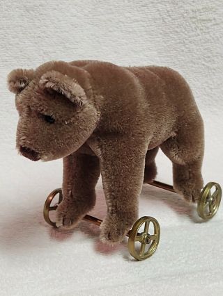 Vintage Steiff Bear On Wheels With Gold Button