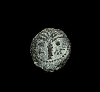 N12,  Judaea Coponius Bronze Prutah
