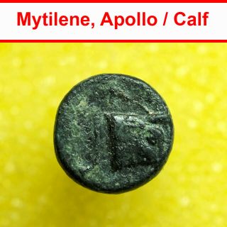 00649 Ancient Greek Coin Mytilene Lesbos AE8mm Apollo / Calf ' s Head 2