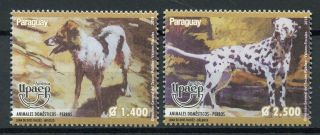 Paraguay 2018 Mnh Upaep Domestic Animals Dogs 2v Set Dog Stamps