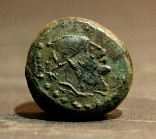 Celtic,  Spain,  Malaka Unit.  Late 3rd Century Bc Bronze Coin