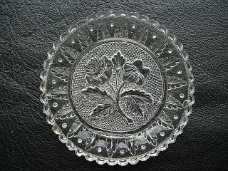 Eapg Antique Pansy And Rose Lr - 149 Flint Lacy Glass Cup Plate