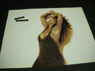 Tina Turner 1989 Promo Poster Ad From Foreign Affair