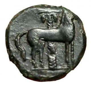 Zeugitana,  In Carthage,  400 - 350 Bc.  Ancient Greek