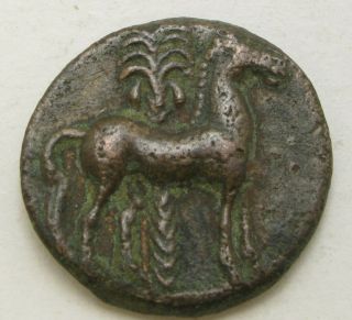 Carthage (zeugitania) Ae 15 Nd (ca.  400 - 350 Bc) - Bronze - 303