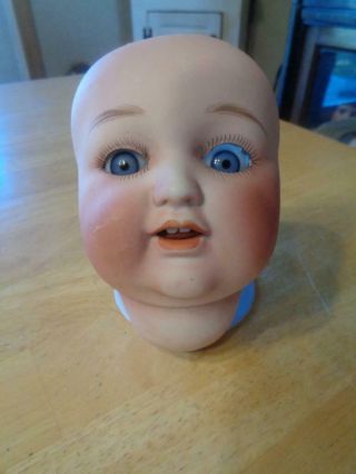 Antique Bisque Baby Doll Head Socket Head Marked MY In Triangle/30/4 5 