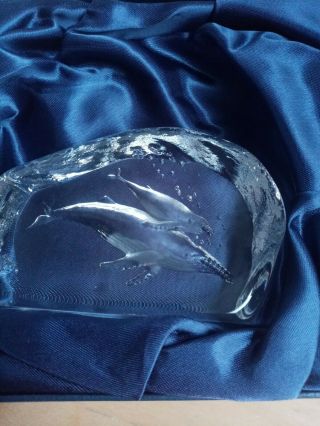 Boxed Dartington Crystal Capredoni Humpback Whale With Calf Paperweight