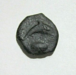 Sicily,  Syracuse.  Bronze Hemilitron,  C.  406 - 367 Bc.  Dolphin And Shell Reverse.
