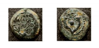 Judaea - Ae Prutah Of John Hyrcanus I,  C.  135 - 104 Bc