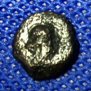 060 PTOLEMAIC KINGDOM OF EGYPT - CLEOPATRA VII 51 - 30 B.  C.  - 1.  2g - 12mm 2