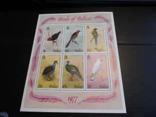 Belize 1977 Sg Ms458 Birds (1st Series) Mnh (102)