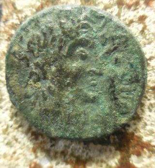 Phoenicia,  Tripolis Pseudo - Autonomous Struck During Reign Of Augustus,  Dioscuri