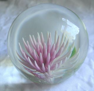 Art Glass Paperweight,  Pink & White Flower