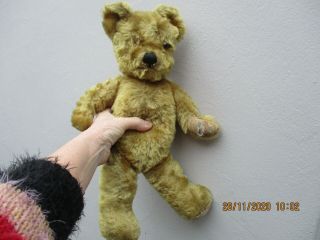 An Antique Vintage Golden Mohair Teddy Bear - Pedigree - C1950 - 5 Way Jointed.