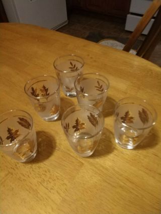 Set 6 Libbey Vintage Gold Leaf Rim Glasses 3 1/2” Frosted Glass Cocktail Juice