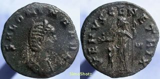Ancient Roman Coin - Bronze Antoninianus Of Salonina - Venus W.  Cupid Reverse
