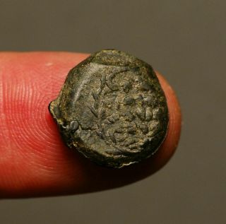 G41 - 11 Judaea,  Hasmoneans,  Æ Prutah,  Double Cornucopia / Inscription 135 - 40 Bc