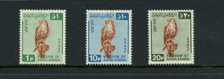Y442 Saudi Arabia 1968/71 Birds Falcons Airmail Short - Set 3v.  Mlh