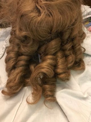 Vtg Antique Gorgeous Strawberry Blonde Curly Hair Bisque German Doll Long Wig 16