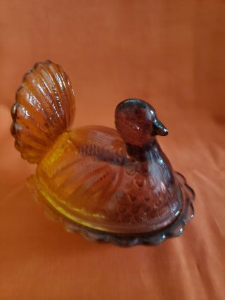 Amber Glass Turkey On Nest