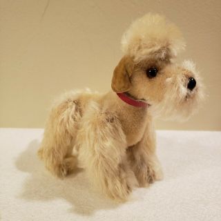 Vintage Steiff Snobby Poodle Dog White Mohair With Raised Button Id 5.  5in 1950s