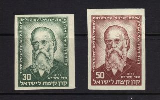 Israel Jewish Judaica Kkl Jnf Stamps - Set Of 2 Never Hinged
