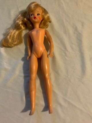 Vintage 1960’s Ideal Tammy Doll With Ponytail Bs - 12