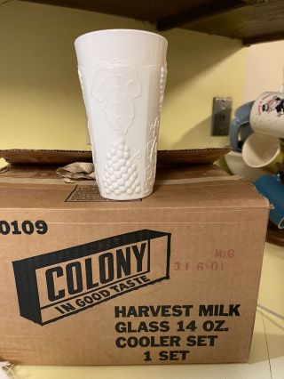 8 Vtg.  Mib Indiana Colony Harvest Grape Milk Glass 14 Oz.  Cooler Tumbler Set