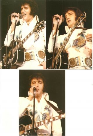 Elvis Presley 10 Photo Concert Set - Peacock Jumpsuit 1974 & Cd