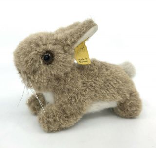 Steiff Hoppy Rabbit Beige Plush Bunny 9cm 3.  5in Id Button Tag 1977 - 83 Vintage