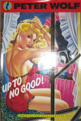 Peter Wolf Up To No Good,  Mca Promo Poster,  1990,  18x27,  Ex,  Pin - Up Girl,  J Geils