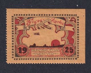 Denmark Scarce Poster Stamp Flight Mark 1925 NÆstved Rundskuedag