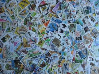 Birds Topic 470 Different Stamps And 6 Souvenir Sheets A Colorful Group Here