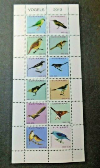 2013 Wildlife Birds Sheet Vf Mnh Suriname Surinam Nederland W99.  29 0.  99$