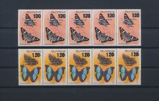 Lm87009 Guyana Overprint Insects Bugs Flora Butterflies Fine Lot Mnh