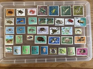 Wildlife Stamps Thematic (xx327)