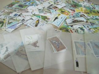 Thematic Stamps Kiloware Never Hinged Birds 44 Grams One Lot
