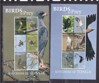 Tonga 2018 Birds Of Prey Falcons Etc 2 Klb Mnh