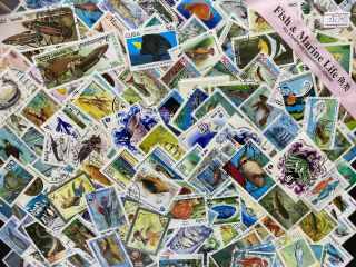 Thematic Stamp Packet - Marine Life On Stamps 200 Difference,  Gift