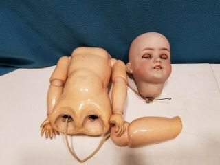 Simon & Halbig 550,  Germany Bisque Doll Head & Composition Body Parts W/ Sleepy