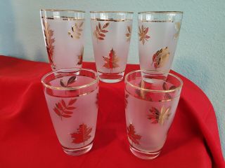 5 Libby Libbey Frosted Gold Maple Leaf Glasses Tall Water 1960 