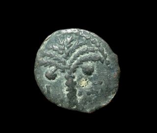 N13,  Judaea Coponius Bronze Prutah