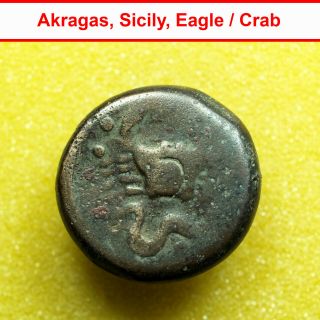 01005 Ancient Greek Coin Akragas Sicily AE26mm Eagle / Crab Hippocamp 2