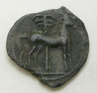 Carthage (zeugitania) Ae 20 Nd (ca.  400 - 350 Bc) - Bronze - 485